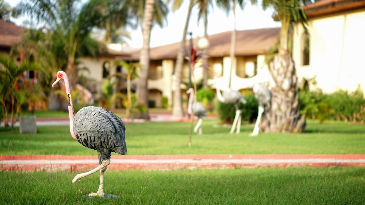 Ocean Bay Hotel & Resort Bakau 外观 照片
